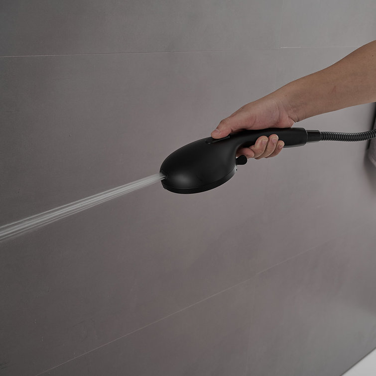 Matte Black Dual Head Wall Mounted Shower System with Stainless Steel Hose
