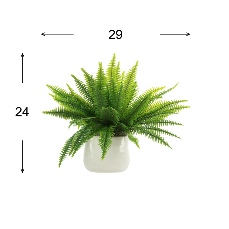 Lifelike Green Polysilk Fern in Round Ceramic Vase