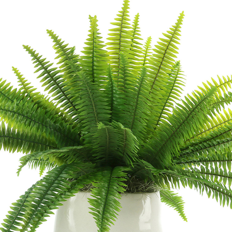 Lifelike Green Polysilk Fern in Round Ceramic Vase