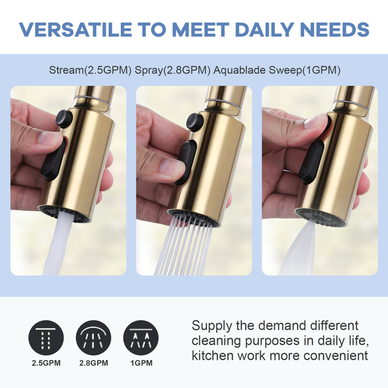 Gold 3-Function Kitchen Faucet Spray Head with 9 Adapters