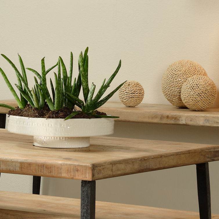 Coco Handmade Geometric Ceramic Decorative Bowl - White