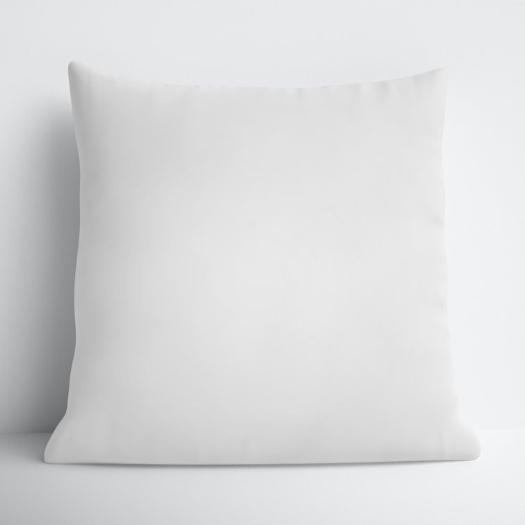 22" x 22" White Down Feather Pillow Insert