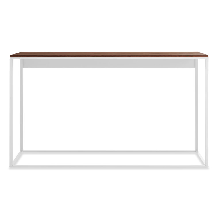Minimalist White Metal and Walnut Wood Console Table