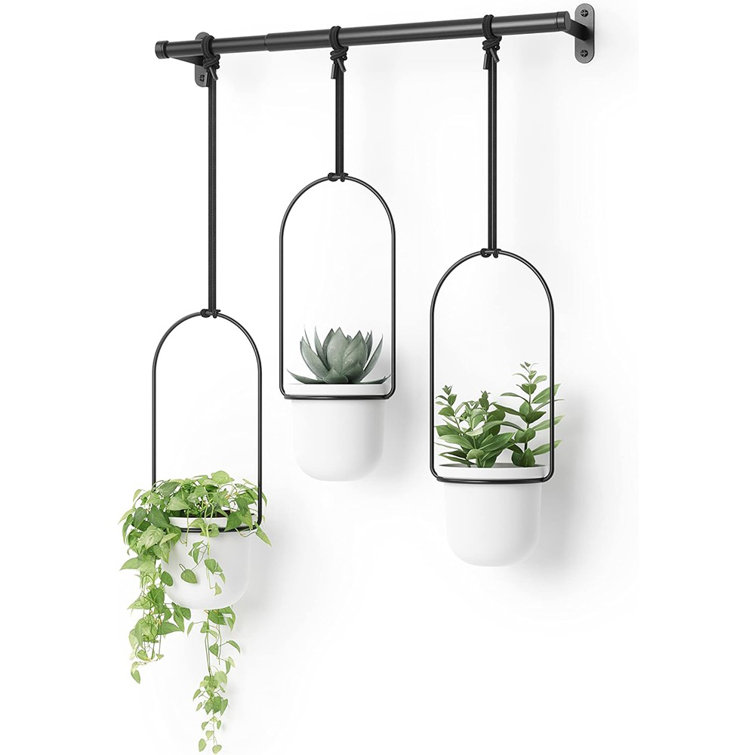 Triflora Adjustable White/Black Indoor Hanging Planter