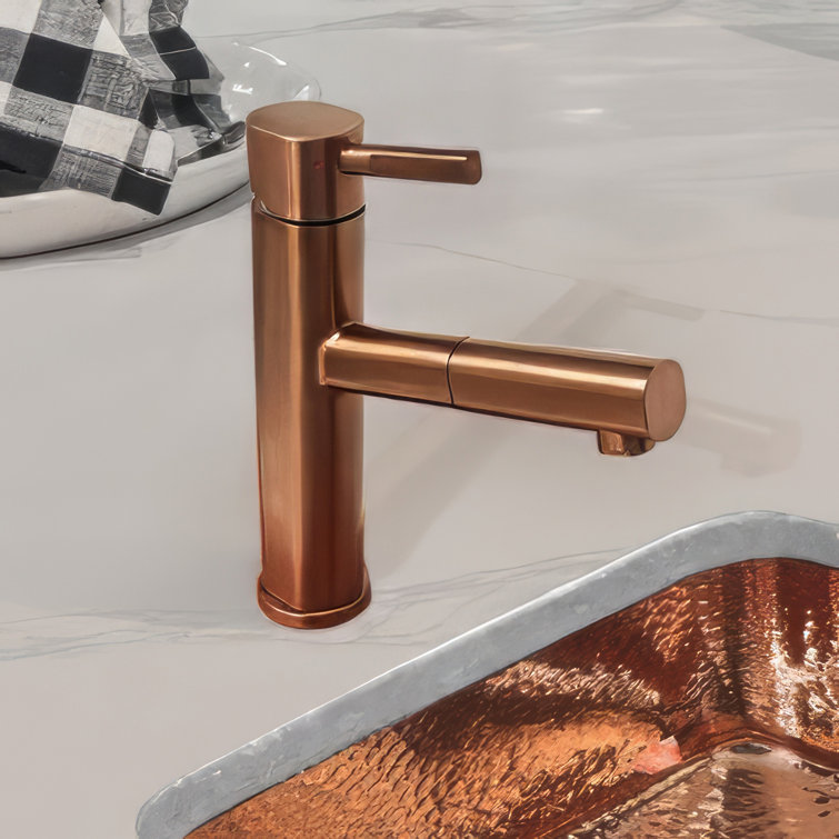 Modern Stainless Steel Pull-Out Spray Kitchen Faucet