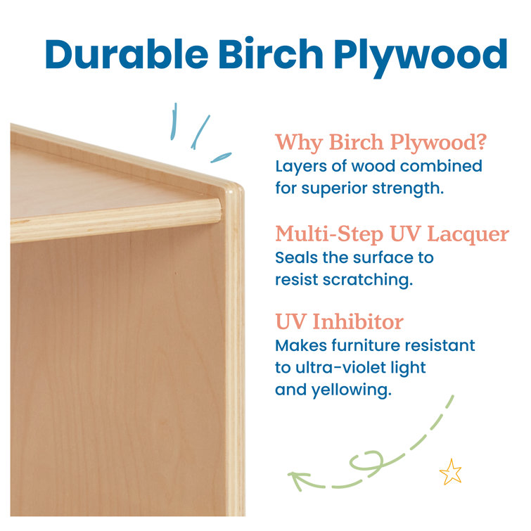 Natural Birch Lacquered 5-Compartment Storage Bookcase