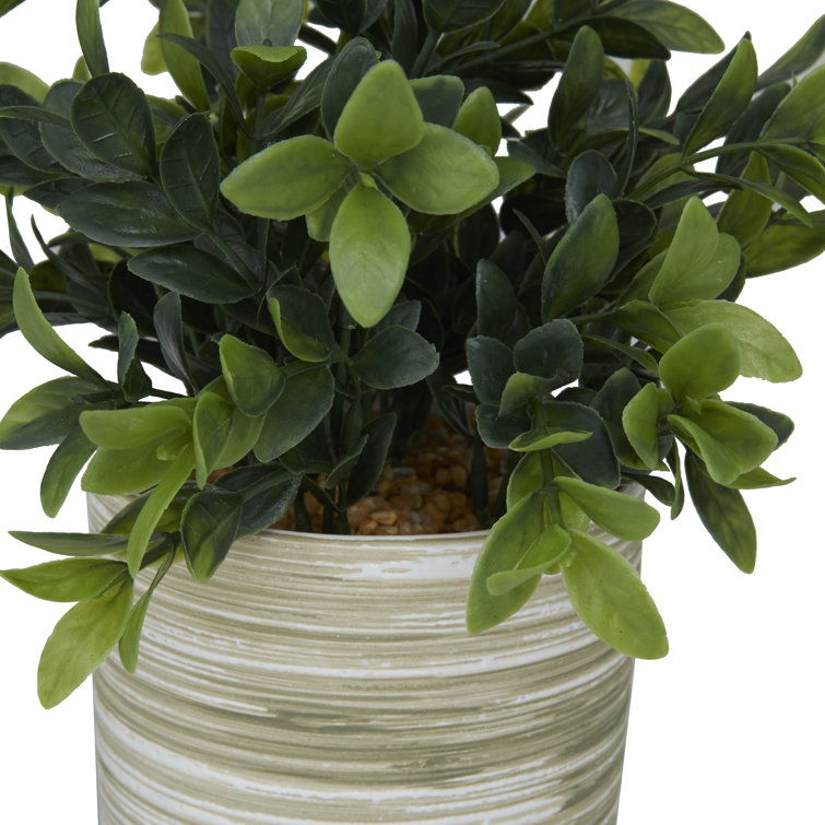 Compact Green Artificial Eucalyptus in Round Pot