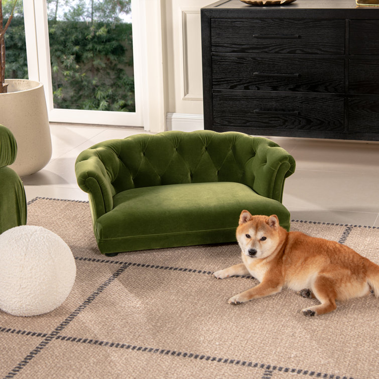 Kiki 36.5" Olive Green Velvet Chesterfield Pet Sofa Bed