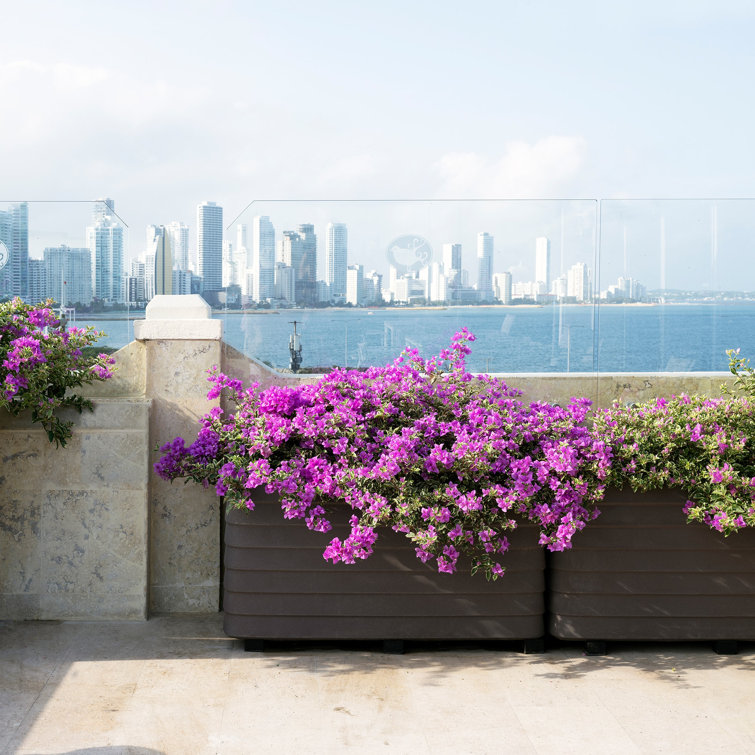 Shadow Gray Large Self-Watering Rectangular Planter Box