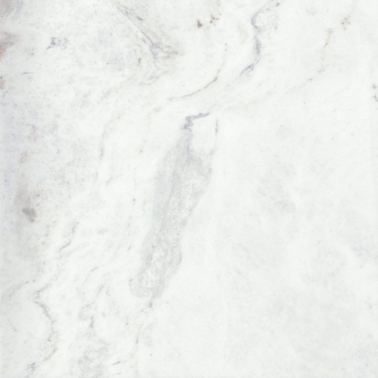 Kalta Bianco 24" x 24" Polished Marble Floor and Wall Tile