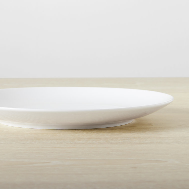 White Organic Porcelain Dinner Plate Set of 4