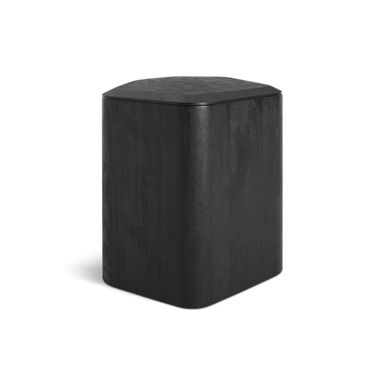 Black-Stained Acacia Rectangular Solid Wood End Table with Storage