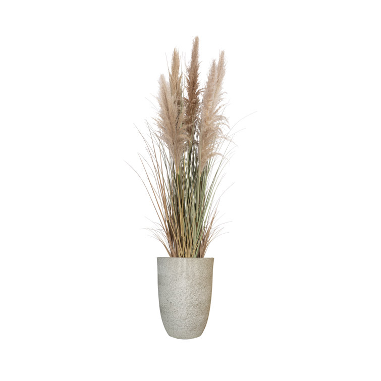 68'' Tall Faux Pampas Grass Arrangement in Black Planter