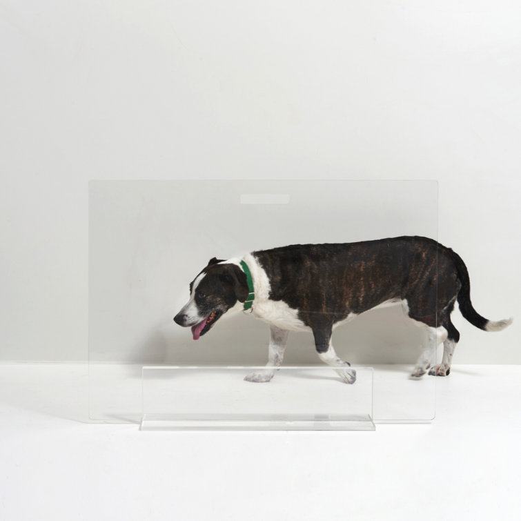 Clear Acrylic Freestanding Pet Gate Panel, 30 Inches Tall