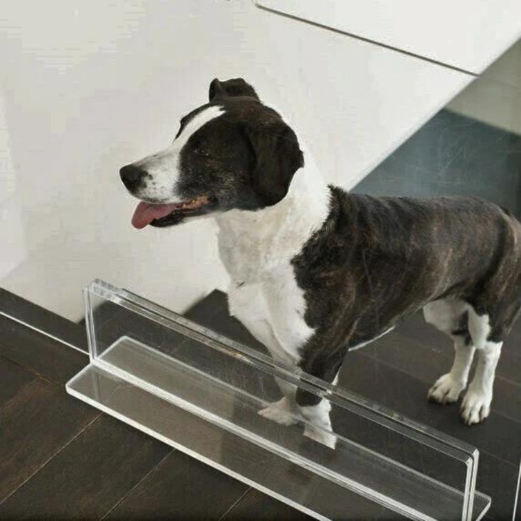 Clear Acrylic Freestanding Pet Gate Panel, 30 Inches Tall