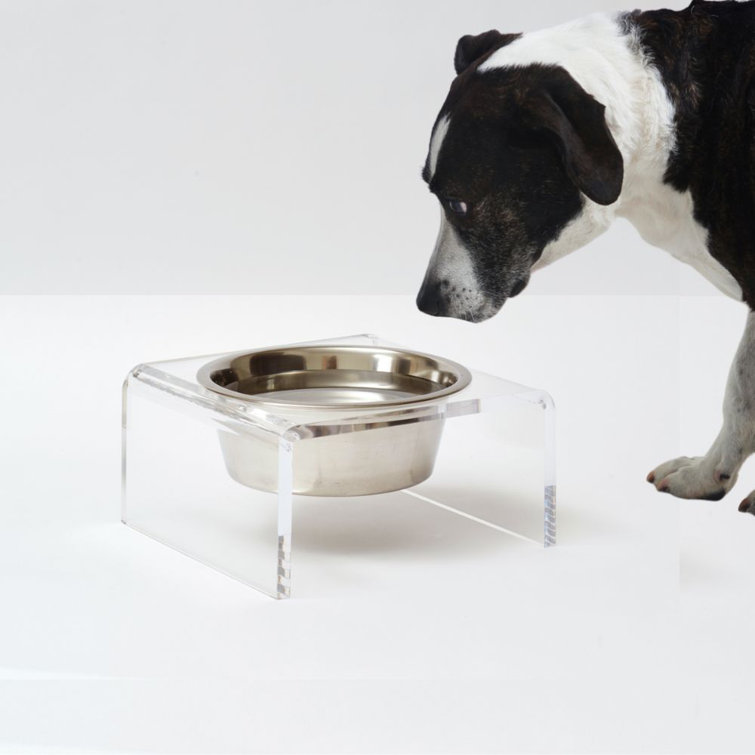 Clear Acrylic Elevated Pet Feeder with Stainless Steel Bowl