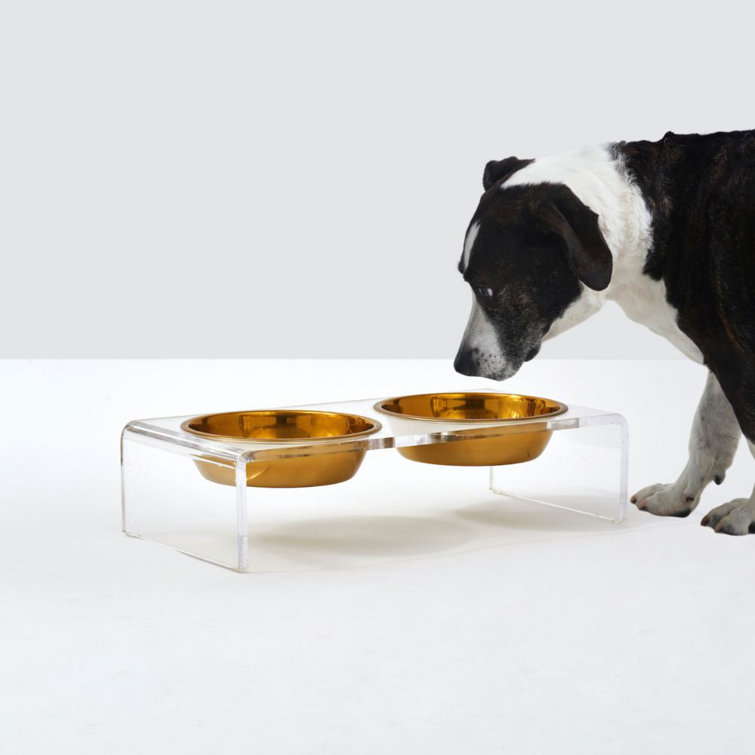 Small Clear Acrylic Elevated Feeder with Gold Bowls