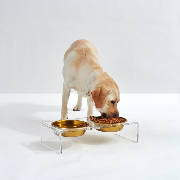 Small Clear Acrylic Elevated Feeder with Gold Bowls