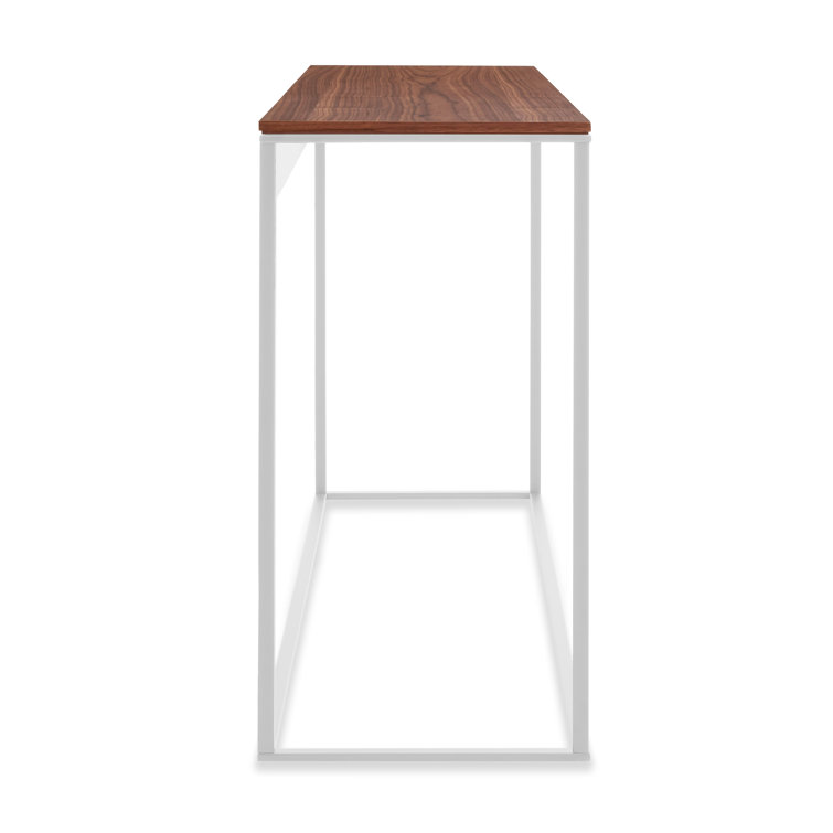 Minimalist White Metal and Walnut Wood Console Table