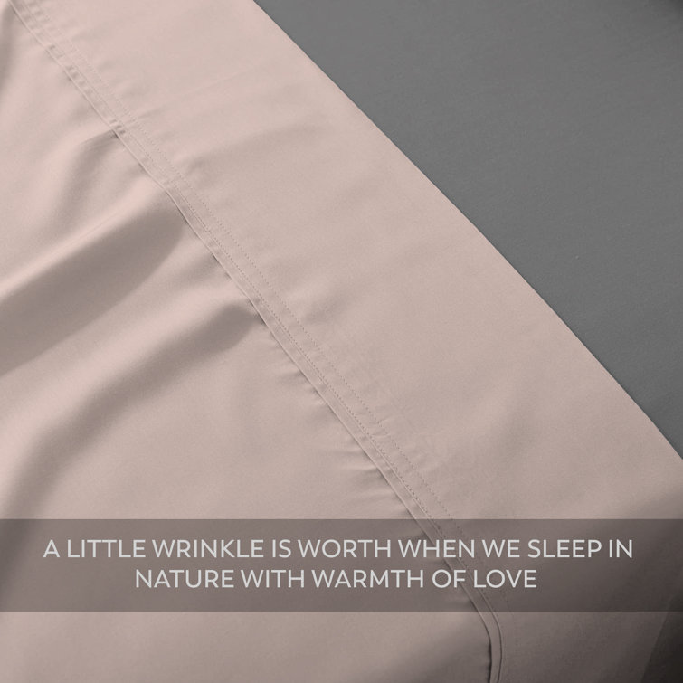 Blush Cotton Percale Standard Pillowcases, 400 Thread Count