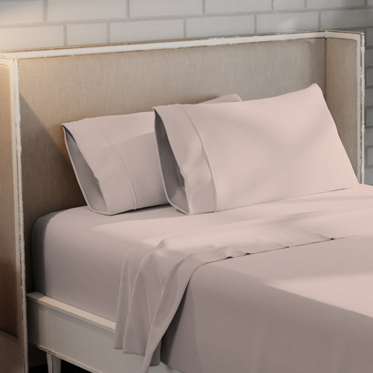 Blush Cotton Percale Standard Pillowcases, 400 Thread Count