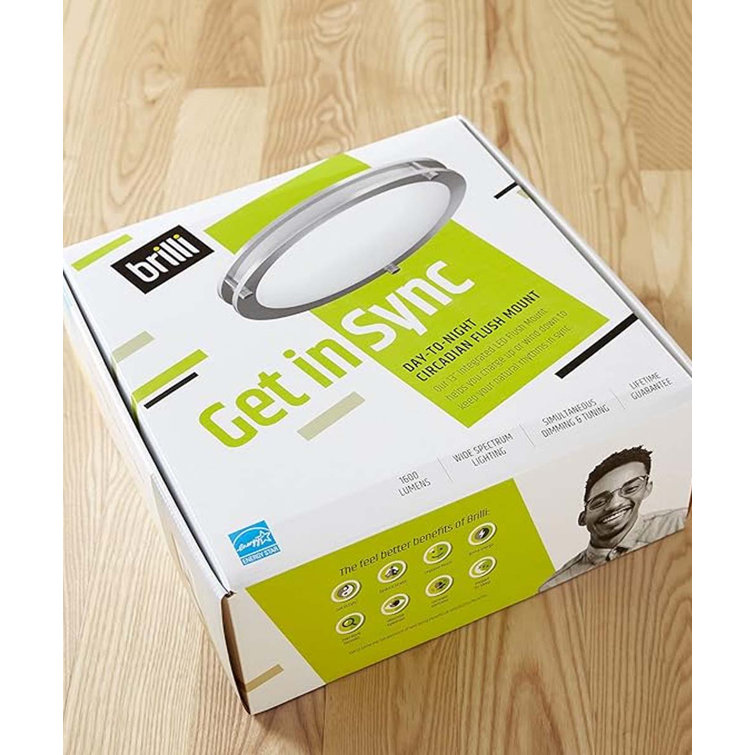 Brushed Nickel 15" LED Flush Mount Ceiling Light