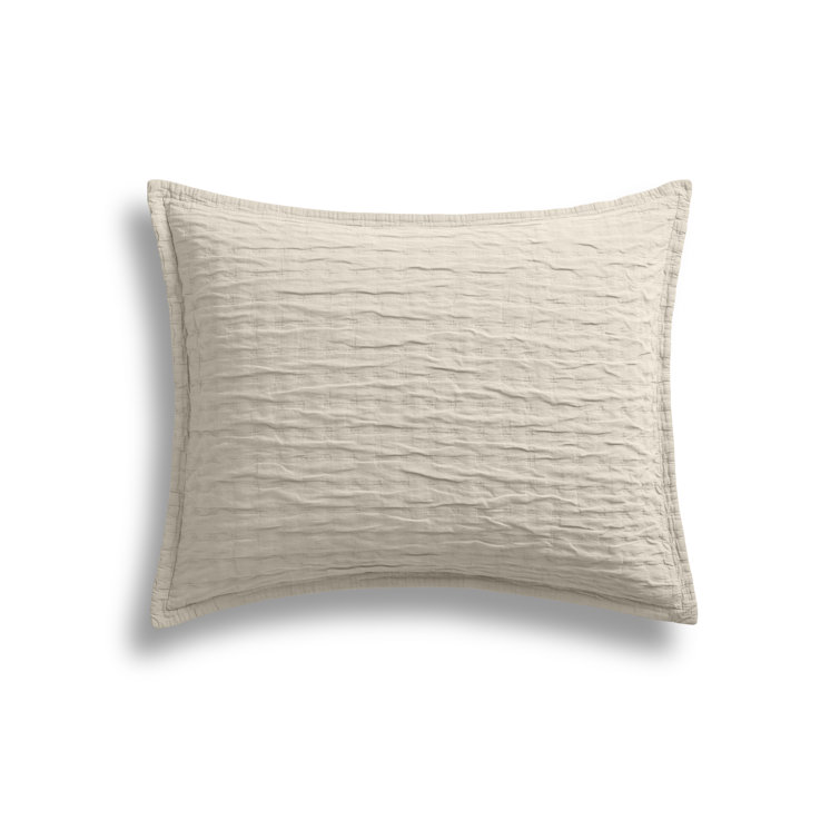Putty Full Cotton Duvet Set with Queen Shams