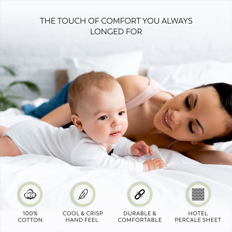 Tan Cotton Percale Standard Pillowcase Set