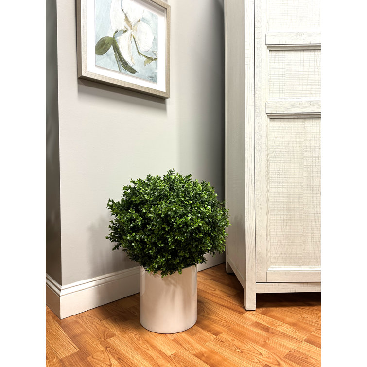 EverGreen UV-Resistant Plastic Boxwood Topiary in Pot Liner