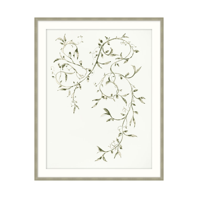 Leafy Vines Sage and Thistle Green Botanical Print