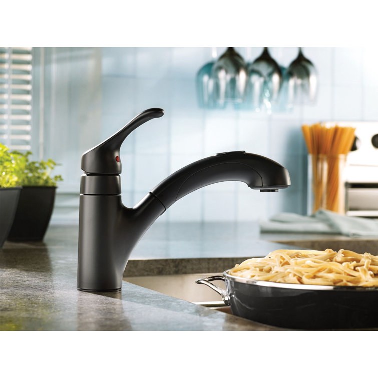 Matte Black Single Handle Pull-Out Kitchen Faucet