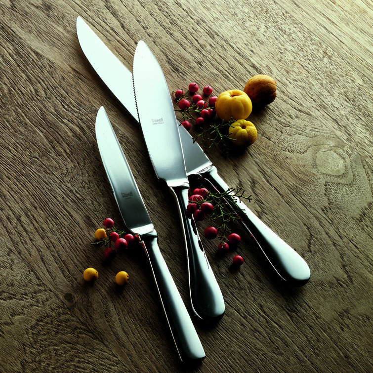 Stainless Steel 10" Double Serration Steak Knife Set of 4