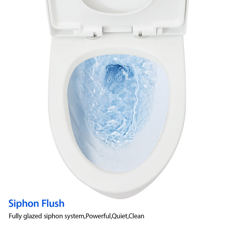 White High Efficiency Dual Flush Elongated One-Piece Toilet