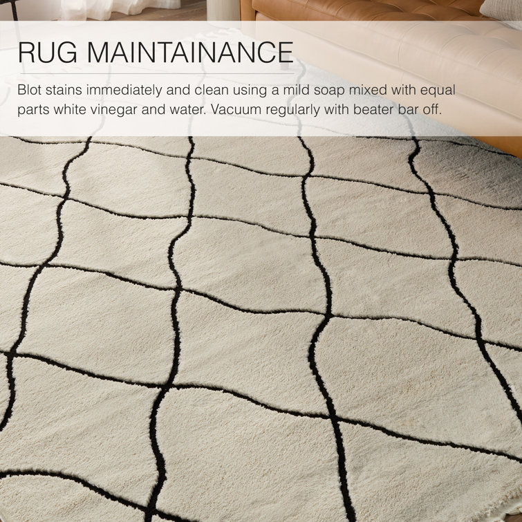 Black and Ivory Trellis Rectangular 10' x 14' Shag Rug