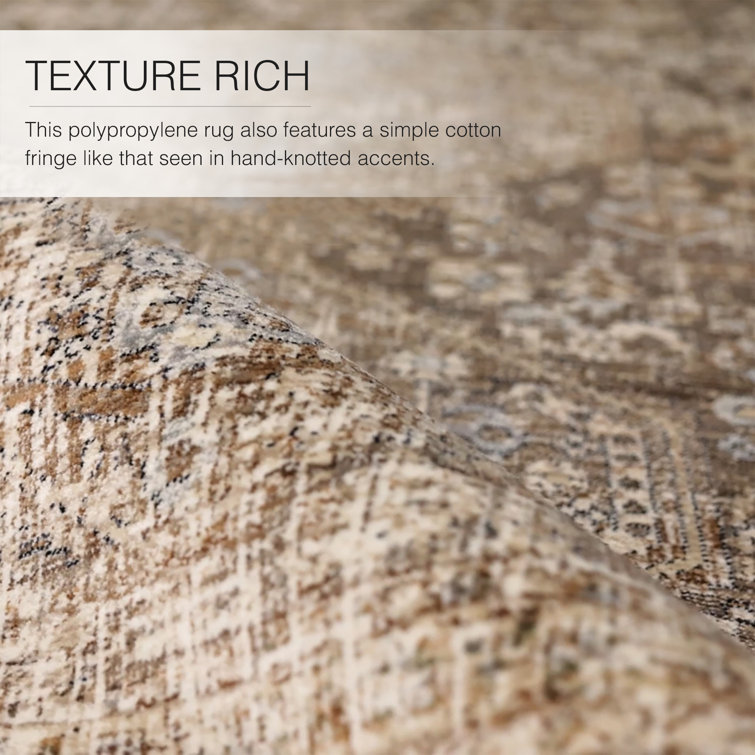Clemente Blue and Tan Medallion Synthetic Rug 10' x 14'