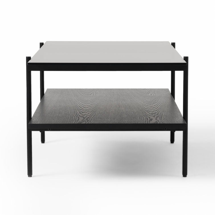 Emani Black Glass Rectangular Coffee Table with Storage Shelf