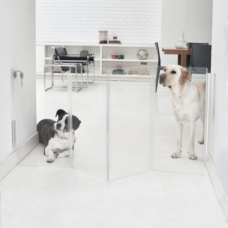 Clear Acrylic Zig Zag Wall Mounted Pet Gate with Metal Latch