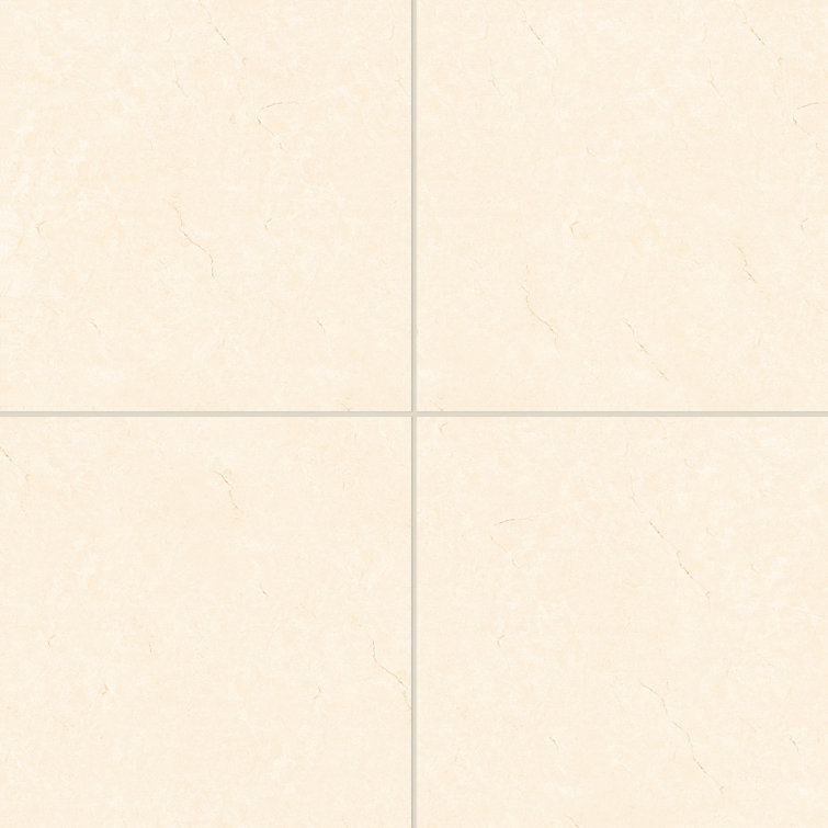 Shandar 24" x 24" Polished Crema Marfil Light Porcelain Tile