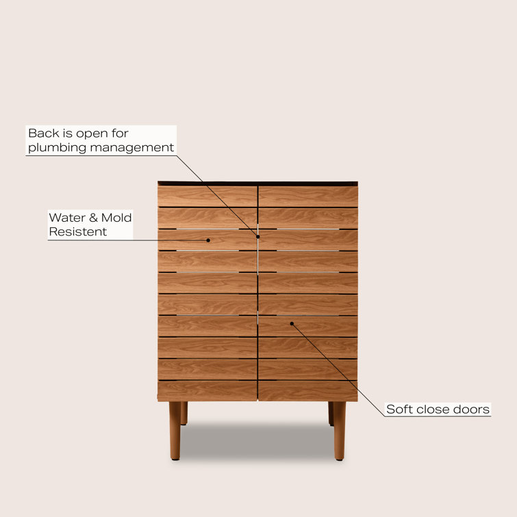 Aubert 24" Walnut Modern Farmhouse Bath Vanity Cabinet