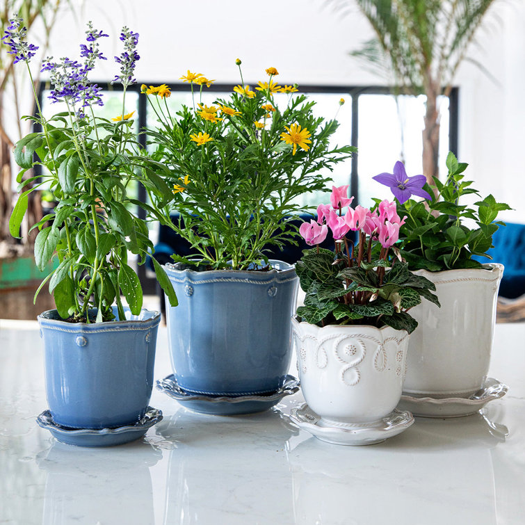 Whitewash Ceramic Round Planter with Saucer and Distressed Finish