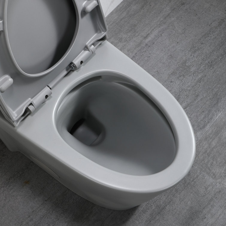 Light Grey Ceramic One-Piece Dual Flush Elongated Toilet