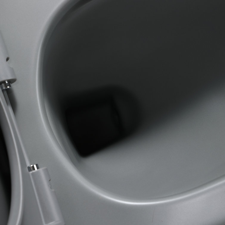 Light Grey Ceramic One-Piece Dual Flush Elongated Toilet