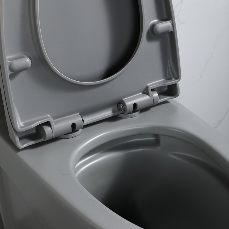 Light Grey Ceramic One-Piece Dual Flush Elongated Toilet