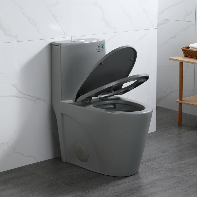 Light Grey Ceramic One-Piece Dual Flush Elongated Toilet