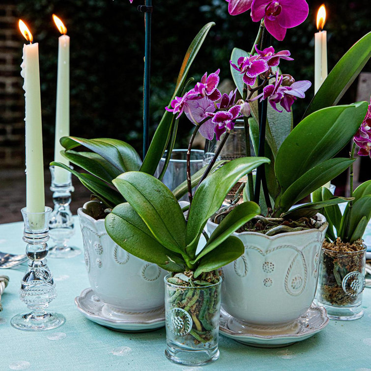 Elegant Berry & Thread Glassware Votive Holder