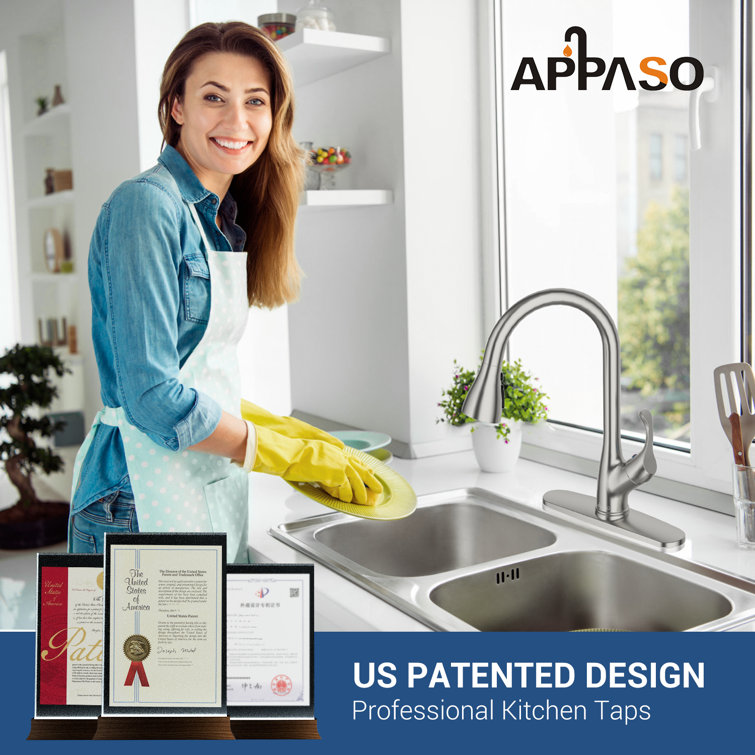 Elegant Brushed Nickel High-Arc Faucet with Pull-Out Spray