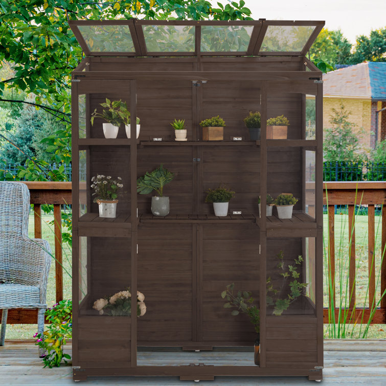 57.9" Brown Fir Wood Walk-In Greenhouse with Openable Roof