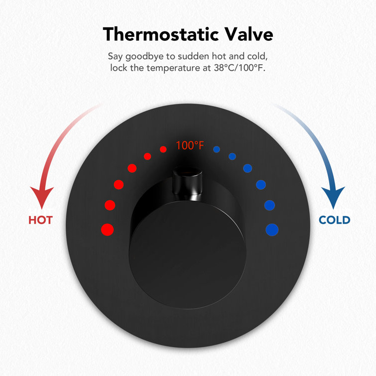 Matte Black Stainless Steel Dual Shower Head System with Thermostatic Valve
