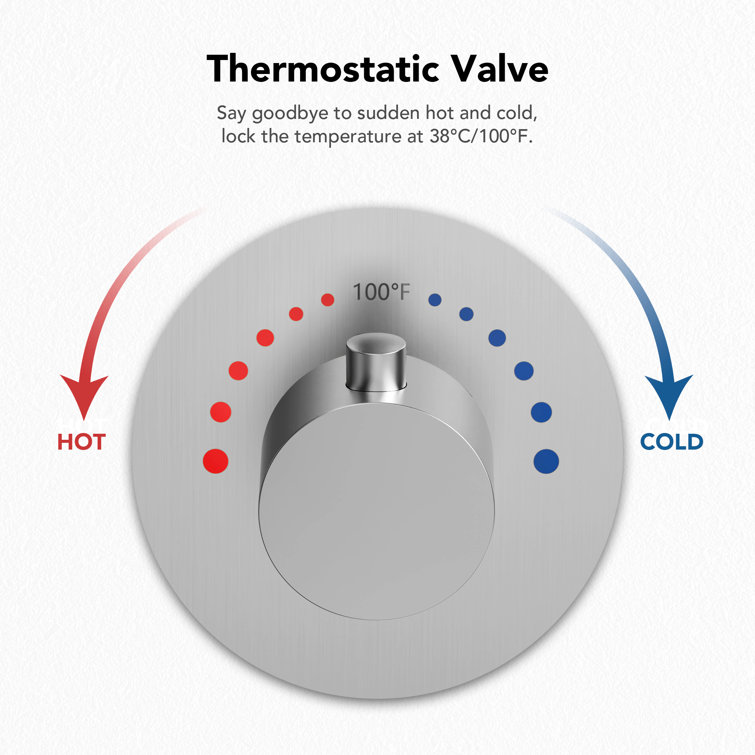 Brushed Nickel Dual Shower Head System with Thermostatic Valve