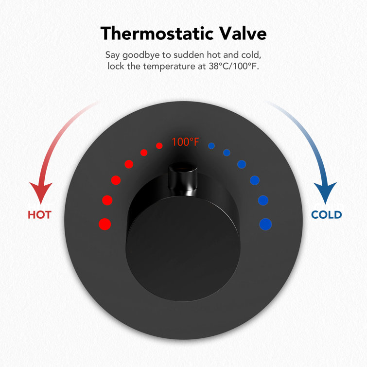 Matte Black Dual Shower Head System with Thermostatic Valve and Body Jets